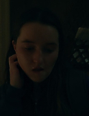 The_Whistleblower_2014.jpg