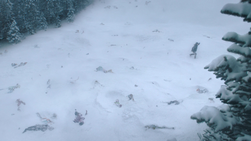 The_Last_of_Us_2x02_1671.jpg