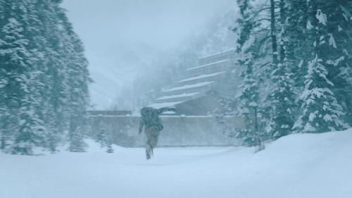 The_Last_of_Us_2x02_1808.jpg