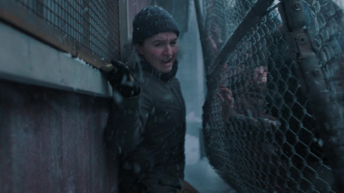The_Last_of_Us_2x02_1869.jpg