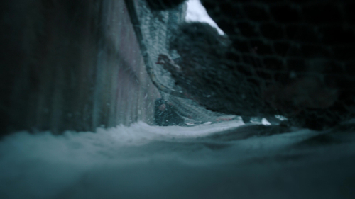 The_Last_of_Us_2x02_1902.jpg