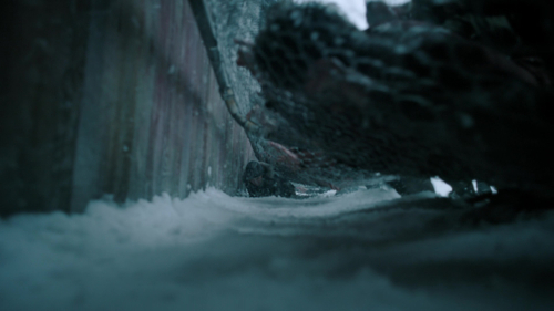The_Last_of_Us_2x02_1903.jpg