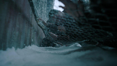 The_Last_of_Us_2x02_1904.jpg