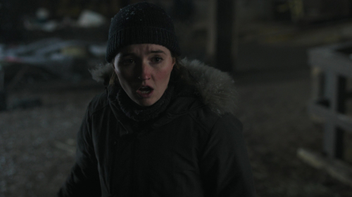 The_Last_of_Us_2x02_2048.jpg