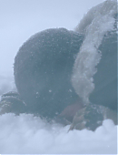 Filename=The_Last_of_Us_2x02_1646.jpg
Filesize=505KiB
Dimensions=3840x2160
Date added=07.19.25 The_Last_of_Us_2x02_1646.jpg