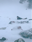 Filename=The_Last_of_Us_2x02_1663.jpg
Filesize=786KiB
Dimensions=3840x2160
Date added=07.19.25 The_Last_of_Us_2x02_1663.jpg