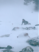 Filename=The_Last_of_Us_2x02_1665.jpg
Filesize=539KiB
Dimensions=3840x2160
Date added=07.19.25 The_Last_of_Us_2x02_1665.jpg