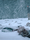 Filename=The_Last_of_Us_2x02_1714.jpg
Filesize=620KiB
Dimensions=3840x2160
Date added=07.19.25 The_Last_of_Us_2x02_1714.jpg