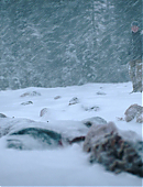 Filename=The_Last_of_Us_2x02_1719.jpg
Filesize=594KiB
Dimensions=3840x2160
Date added=07.19.25 The_Last_of_Us_2x02_1719.jpg