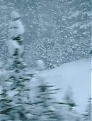 Filename=The_Last_of_Us_2x02_1794.jpg
Filesize=579KiB
Dimensions=3840x2160
Date added=07.19.25 The_Last_of_Us_2x02_1794.jpg