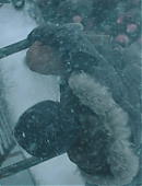 Filename=The_Last_of_Us_2x02_1839.jpg
Filesize=551KiB
Dimensions=3840x2160
Date added=07.19.25 The_Last_of_Us_2x02_1839.jpg