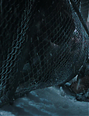 Filename=The_Last_of_Us_2x02_1885.jpg
Filesize=584KiB
Dimensions=3840x2160
Date added=07.19.25 The_Last_of_Us_2x02_1885.jpg