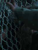 Filename=The_Last_of_Us_2x02_1890.jpg
Filesize=482KiB
Dimensions=3840x2160
Date added=07.19.25 The_Last_of_Us_2x02_1890.jpg