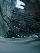 Filename=The_Last_of_Us_2x02_1904.jpg
Filesize=365KiB
Dimensions=3840x2160
Date added=07.19.25 The_Last_of_Us_2x02_1904.jpg