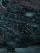 Filename=The_Last_of_Us_2x02_1909.jpg
Filesize=370KiB
Dimensions=3840x2160
Date added=07.19.25 The_Last_of_Us_2x02_1909.jpg