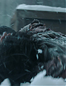 Filename=The_Last_of_Us_2x02_1931.jpg
Filesize=443KiB
Dimensions=3840x2160
Date added=07.19.25 The_Last_of_Us_2x02_1931.jpg