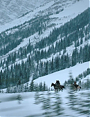 Filename=The_Last_of_Us_2x02_2343.jpg
Filesize=928KiB
Dimensions=3840x2160
Date added=07.19.25 The_Last_of_Us_2x02_2343.jpg