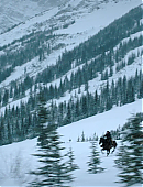 Filename=The_Last_of_Us_2x02_2347.jpg
Filesize=785KiB
Dimensions=3840x2160
Date added=07.19.25 The_Last_of_Us_2x02_2347.jpg
