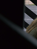 Unbelievable_1x08_1382.jpg