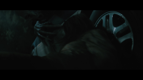 No_One_Will_Save_You_4365.jpg