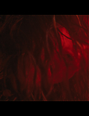 No_One_Will_Save_You_4767.jpg