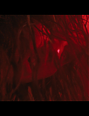 No_One_Will_Save_You_4770.jpg