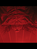 No_One_Will_Save_You_4831.jpg
