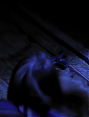 Filename=The_Mentalist_Blood_for_Blood_4126.jpg
Filesize=94KiB
Dimensions=1920x1080
Date added=09.07.26 The_Mentalist_Blood_for_Blood_4126.jpg