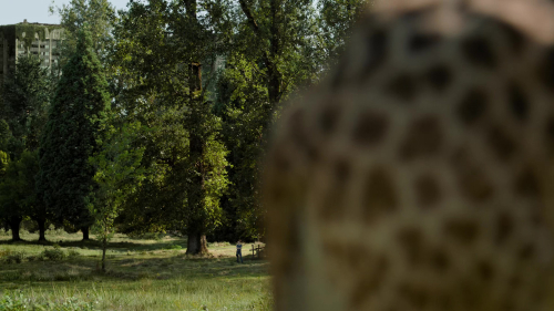 The_Last_of_Us_2x01_0141.jpg