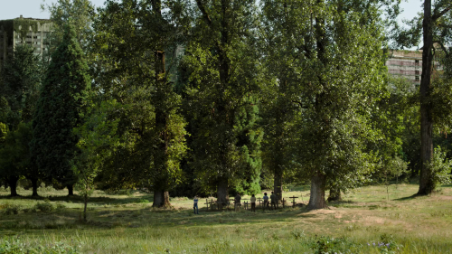 The_Last_of_Us_2x01_0144.jpg