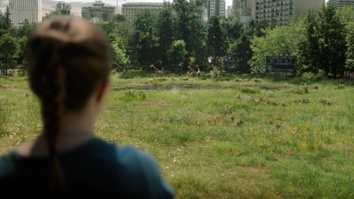 The_Last_of_Us_2x01_0149.jpg