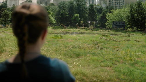 The_Last_of_Us_2x01_0154.jpg