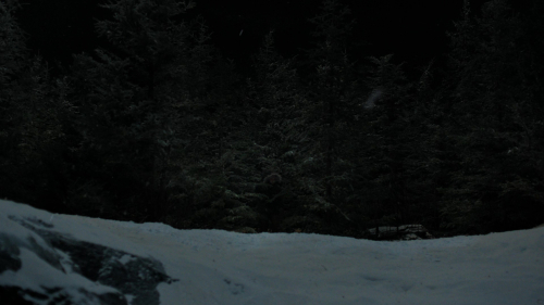 The_Last_of_Us_2x01_4861.jpg