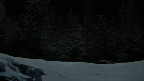The_Last_of_Us_2x01_4862.jpg