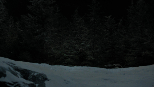 The_Last_of_Us_2x01_4863.jpg