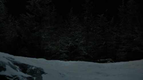 The_Last_of_Us_2x01_4865.jpg