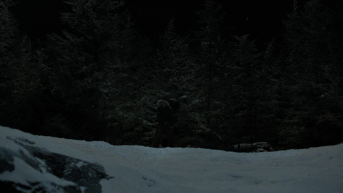 The_Last_of_Us_2x01_4866.jpg