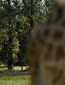 Filename=The_Last_of_Us_2x01_0141.jpg
Filesize=916KiB
Dimensions=3840x2160
Date added=07.19.25 The_Last_of_Us_2x01_0141.jpg