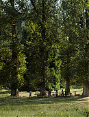 Filename=The_Last_of_Us_2x01_0143.jpg
Filesize=1820KiB
Dimensions=3840x2160
Date added=07.19.25 The_Last_of_Us_2x01_0143.jpg
