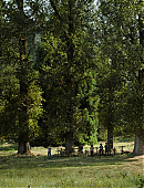 Filename=The_Last_of_Us_2x01_0145.jpg
Filesize=1701KiB
Dimensions=3840x2160
Date added=07.19.25 The_Last_of_Us_2x01_0145.jpg