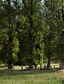 Filename=The_Last_of_Us_2x01_0147.jpg
Filesize=1700KiB
Dimensions=3840x2160
Date added=07.19.25 The_Last_of_Us_2x01_0147.jpg