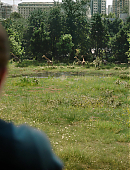 Filename=The_Last_of_Us_2x01_0149.jpg
Filesize=1255KiB
Dimensions=3840x2160
Date added=07.19.25 The_Last_of_Us_2x01_0149.jpg
