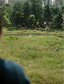 Filename=The_Last_of_Us_2x01_0151.jpg
Filesize=1269KiB
Dimensions=3840x2160
Date added=07.19.25 The_Last_of_Us_2x01_0151.jpg
