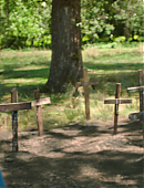 Filename=The_Last_of_Us_2x01_0362.jpg
Filesize=578KiB
Dimensions=3840x2160
Date added=07.19.25 The_Last_of_Us_2x01_0362.jpg