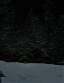 The_Last_of_Us_2x01_4863.jpg