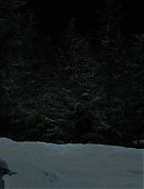 The_Last_of_Us_2x01_4864.jpg