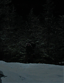 The_Last_of_Us_2x01_4866.jpg