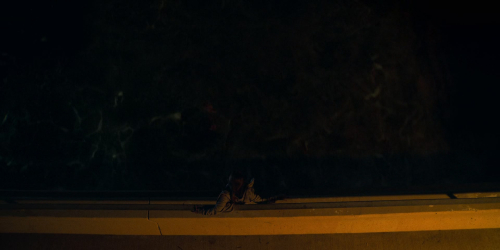 Unbelievable_1x01_4749.jpg