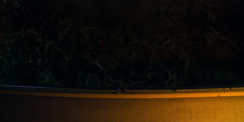 Unbelievable_1x01_4760.jpg