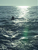 Filename=Unbelievable_1x01_1249.jpg
Filesize=450KiB
Dimensions=1920x960
Date added=07.27.25 Unbelievable_1x01_1249.jpg